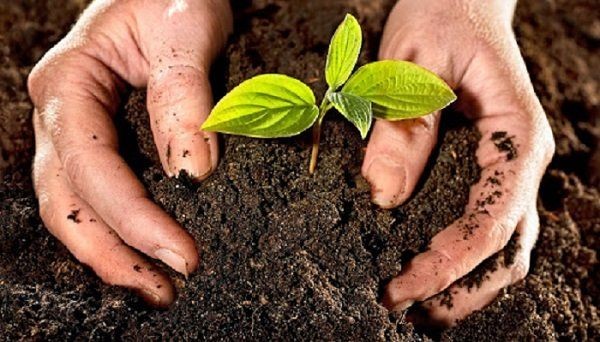 imagem do card da loja