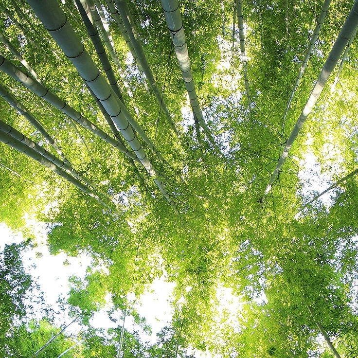 imagem do card da loja